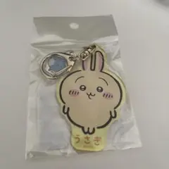 치이카와 매력이있는 아크릴 열쇠 고리 우사기