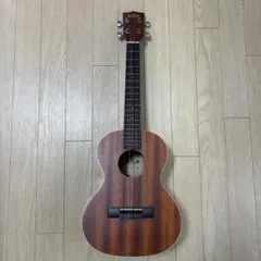 Item thumbnail for item 25c35cd1-4cef-40b1-9fa9-a0655cf36af5