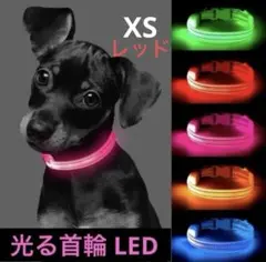 Item thumbnail for item c1069805-a513-435b-bce4-8acb18470102