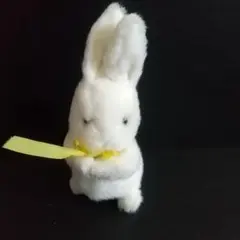 うさぎ　ウサギ