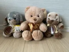 ヒロクンハウス ぬいぐるみ 3体セット くまのコッキー＆わんだふるのサムネイル