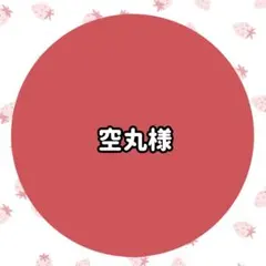 空丸様専用ページ