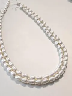 無核 淡水パール 大きめライス ２連セット(７５cm)