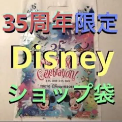 ディズニー　35周年　ショップ袋