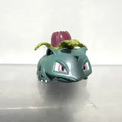 【レア】ポケモン　モンコレ/モンスターコレクション　フシギソウ　初期