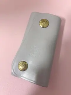 IL BISONTE ベージュレザーキーケース　グレージュのサムネイル