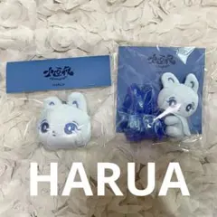 &TEAM K 十五夜 セット ぬいぐるみ シュシュ フェイスキーリング