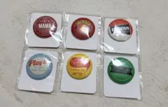 EXO 缶バッジ SUM