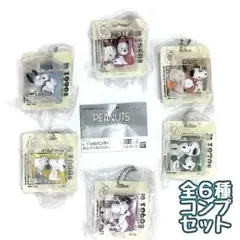 コンプ　PEANUTS パッケージミニチュアコレクション　スヌーピー