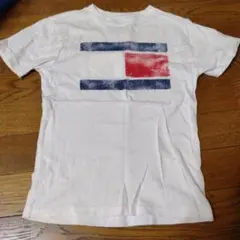 TOMMY HILFIGER Tシャツ サイズ7