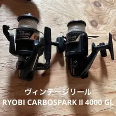 Item thumbnail for item 98d89f0b-e88d-4f95-bac4-5db143219e47