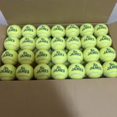 硬式テニスボール(DUNLOP St.JAMES) 中古品　84球
