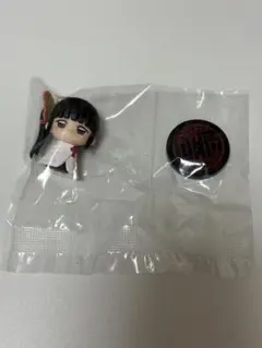 鬼滅の刃　栗花落カナヲ　すわらせ隊