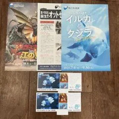 新江ノ島水族館 ご招待券 チケット 水族館 2枚 おまけ えのすい 招待券
