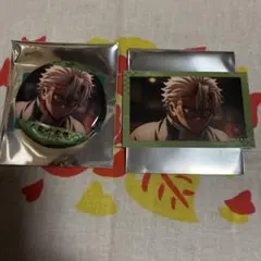 鬼滅の刃 トレーディング場面写ホログラム缶バッジ イラストカード 不死川実弥