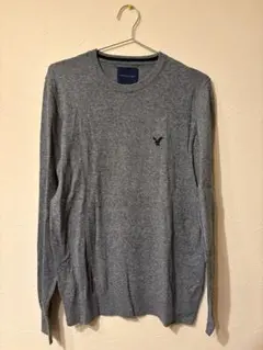 AMERICAN EAGLE グレー クルーネックセーター M