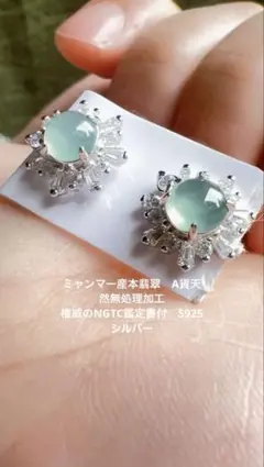 天然ミャンマー産本翡翠S925シルバーピアス　NGTC鑑定書 氷青ブルー