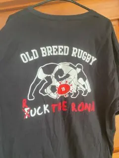 Item thumbnail for item 1c0a4a6f-5fe2-416f-b32a-3cb900a267e7