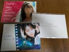 ZARD What a beautiful memory フォトセット　11番 ZARD What a beautiful memory フォトセット 11番 - メルカリ