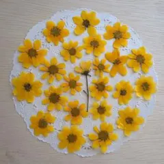 オリーブグリーン様 リクエスト 3点 まとめ商品