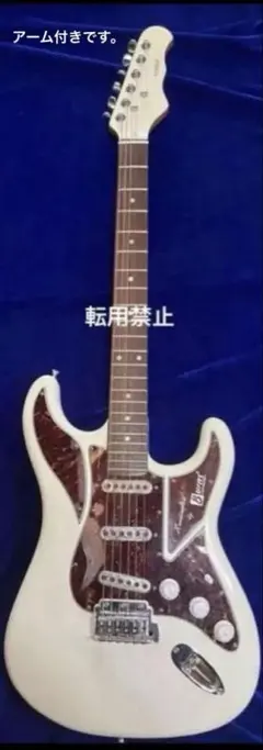 2025年最新】ギター burns cobra dxの人気アイテム - メルカリ