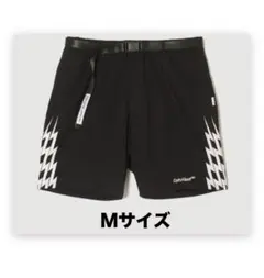 Item thumbnail for item e1c85941-8afa-445f-8168-a236b80784da