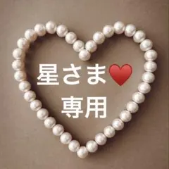 星さま♥️専用