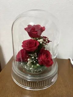 レンデフロール　赤いバラ　プリザーブドフラワー　ケース入り レンデフロール 赤いバラ プリザーブドフラワー ケース入り レンデ