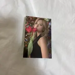 Item thumbnail for item df94f942-75df-4eeb-b1b5-a5a31bbfb157