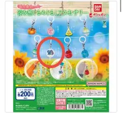 彩り変わった涼を感じる めじるしアクセサリー 水うちわ(あさがお)