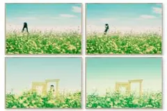 ジャンボ玉とコスモス　高解像度写真 2Ｌ判写真　4枚　セート コスモス 花畑 高解像度 L判写真 4枚セット - メルカリ