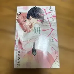 とろけるキスは研究室で