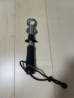 Item thumbnail for item df0c5a97-c59f-4ee0-a14d-962c76bf3eb6