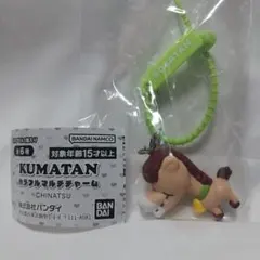 KUMATAN カラフルマルチチャーム ロバタン