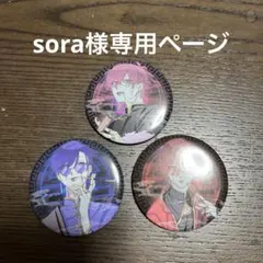 sora様専用ページ