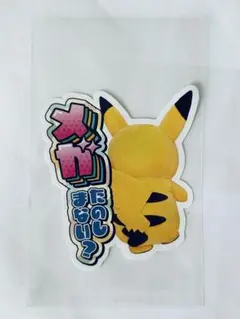 ポケモンセンター メガたのしまない？ ピカチュウ