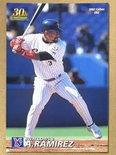2026年最新】プロ野球チップス 2002の人気アイテム - メルカリ