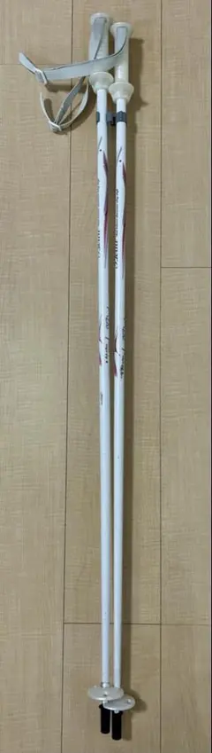 Item thumbnail for item 8147cc62-a4c8-4b4f-8077-5fa829b4f51c