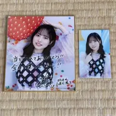 2026年最新】ひなこれ 正源司陽子の人気アイテム - メルカリ