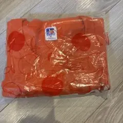 がそー様