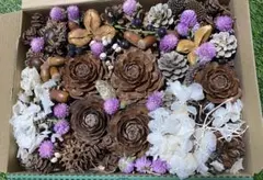 シダローズと　沢山の木の実セット③