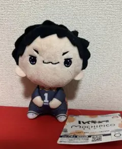 ハイキュー!! もちぴこぬいぐるみ 澤村大地