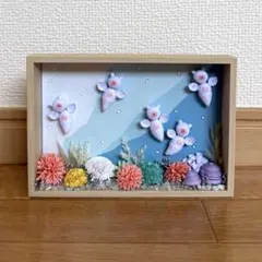 多肉植物 クインコロネット 札付き farmPALK - メルカリ