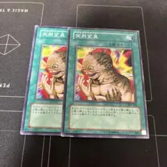 突然変異　301 メタモルフォーゼ　2枚