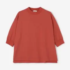 未使用 Gymphlex 別注 鹿の子 クルーネックTシャツのサムネイル