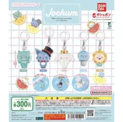 Jochum めじるしアクセサリー　マイクン　Bira ２個セット