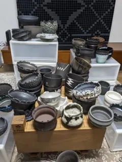 【新品未使用】作家鉢 手作り 植物 観葉 塊根 芽の巣山 カタチ製作所 素里 新品未使用】作家鉢 手作り 植物 観葉 塊根 芽の巣山 カタチ