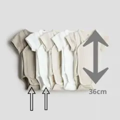 Item thumbnail for item e721ed28-13f7-4351-a5b2-f202342e34bb