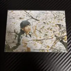 2026年最新】佐倉綾音の人気アイテム - メルカリ