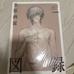 スロウダメージ 生原画展 図録 Nitro CHiRAL 公式アートブック